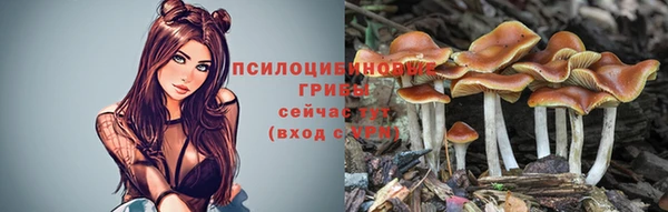 каннабис Алексеевка