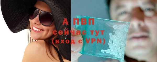 стафф Алексин