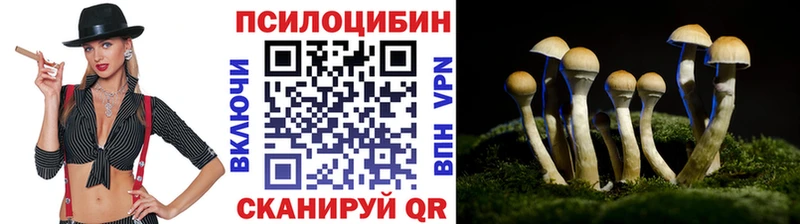 магазин продажи наркотиков  Лагань  mega рабочий сайт  Псилоцибиновые грибы прущие грибы 
